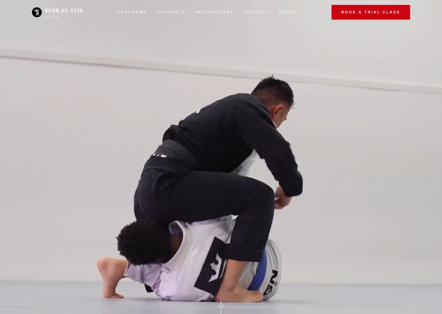 Reign Jiu Jitsu website — designed and built by Be Strong Systems